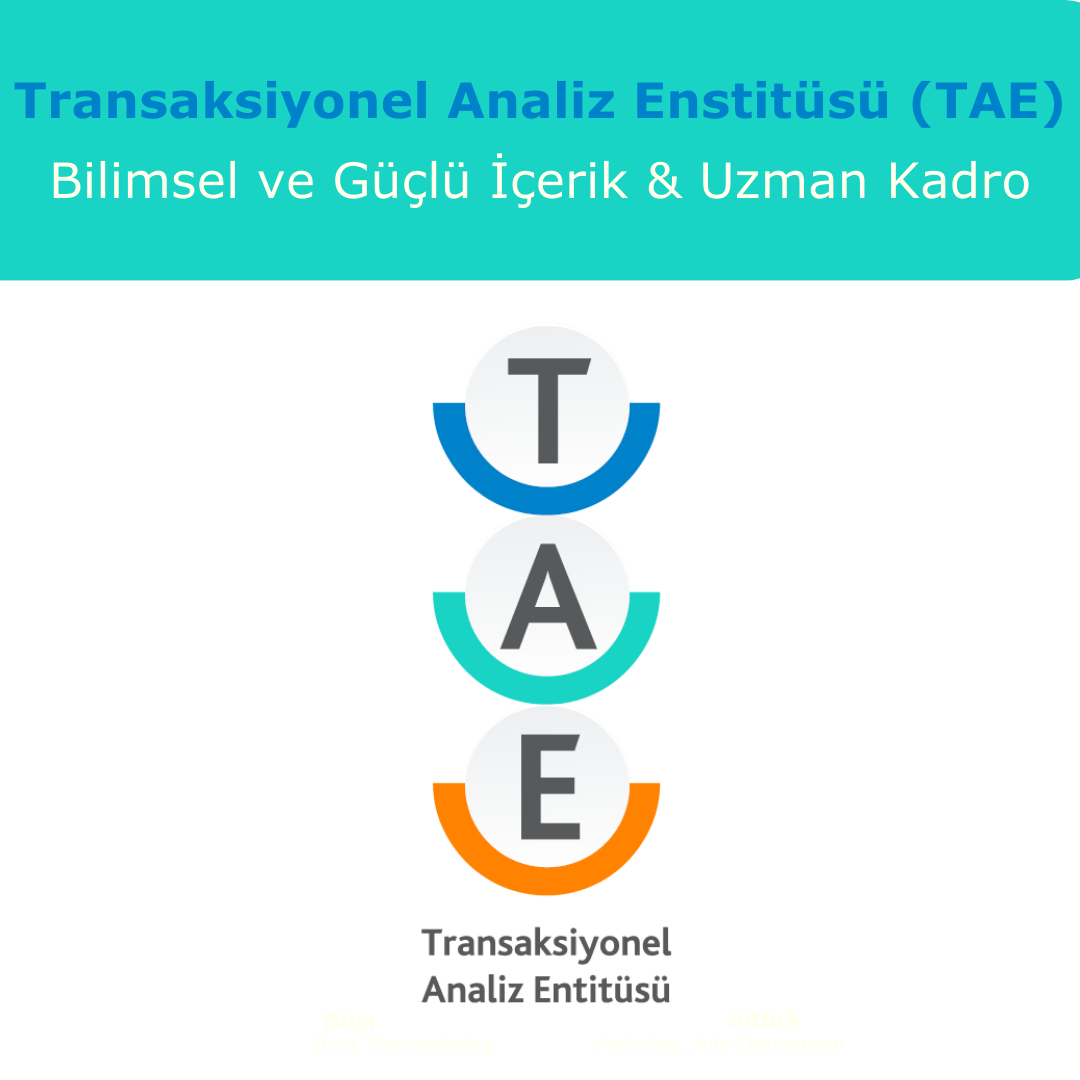 Transaksiyonel Analiz