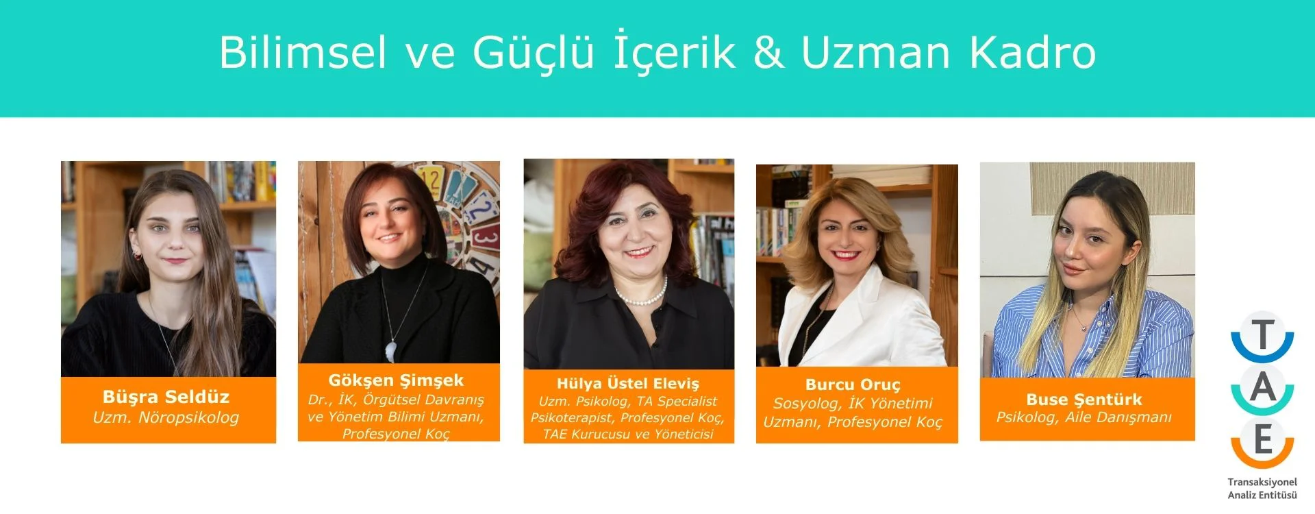 transaksiyonel analiz enstitüsü, ta enstitüsü, transaksiyonel analiz uzman ekibi, transaksiyonel analiz yetkinleri ve derneği, ta eğitimi, transaksiyonel analiz eğitimi