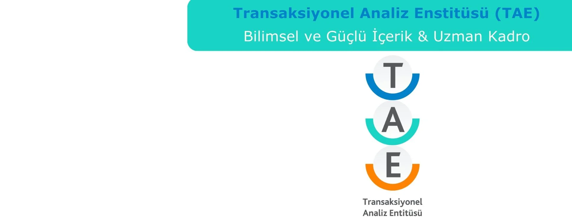 Transaksiyonel Analiz Enstitüsü