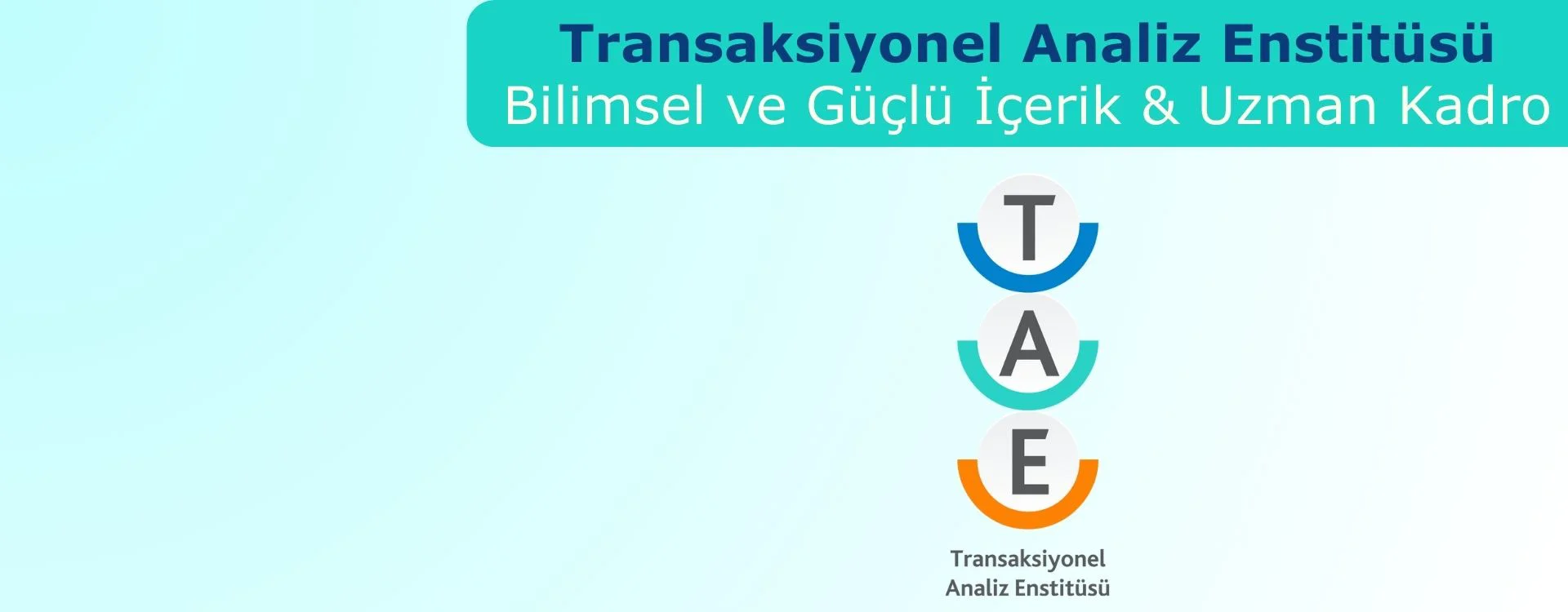 Transaksiyonel Analiz Enstitüsü